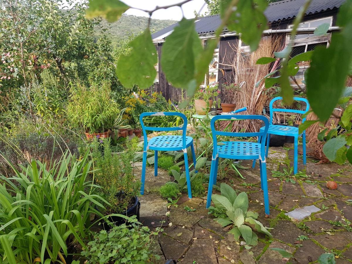Missel Dene Hotel Rodney Stoke Luaran gambar